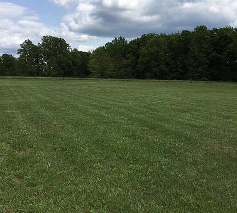 2nd image of 420 Lookout View Dr
