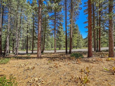 139 Basque Dr, Truckee, CA, 96161