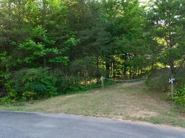 LOT 8 Robert Dr, Ellijay, GA 30536
