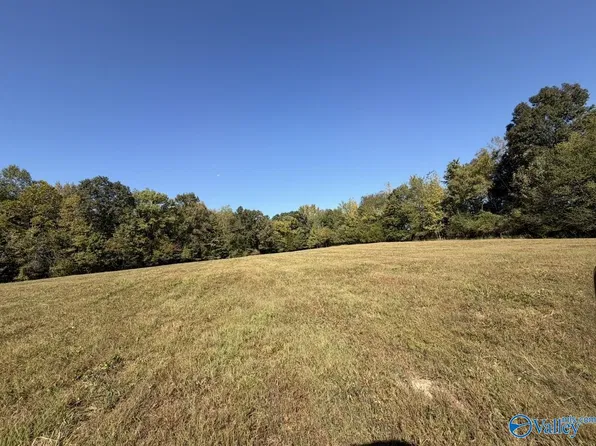 Davis Hollow Rd, Minor Hill, TN 38473