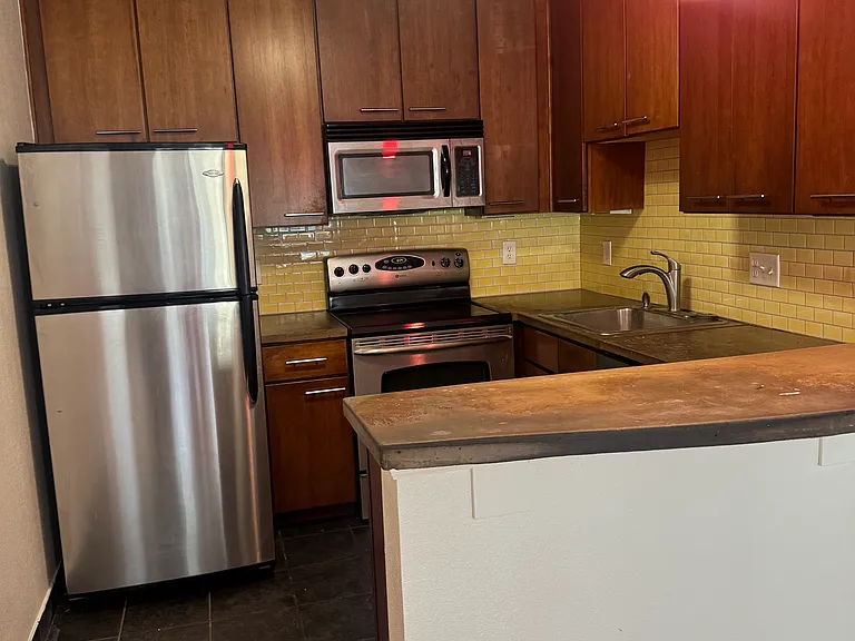 1231 N Downing St #203 — Photo 10