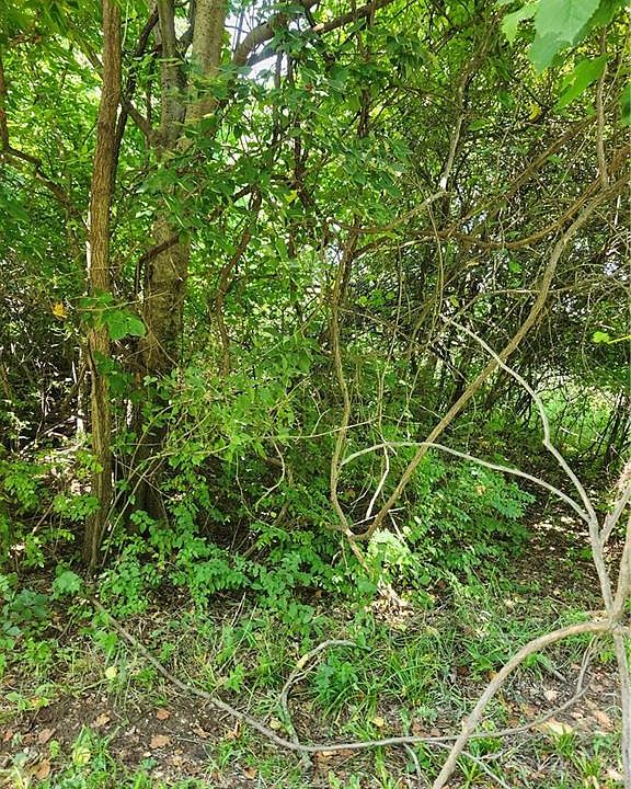 1st image of 65 Pheasant Run