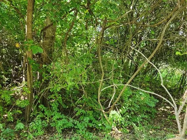 65 Pheasant Run, Linn Valley, KS 66040
