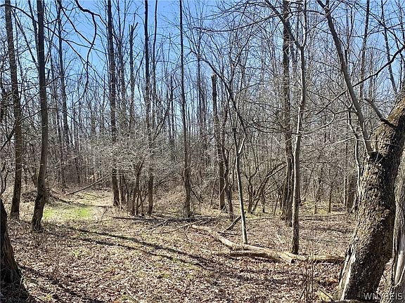 2nd image of 6320 Stinson Rd Lot 29