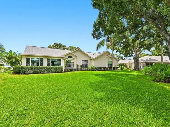 1131 GOLFVIEW WOODS DRIVE, RUSKIN, FL 33573