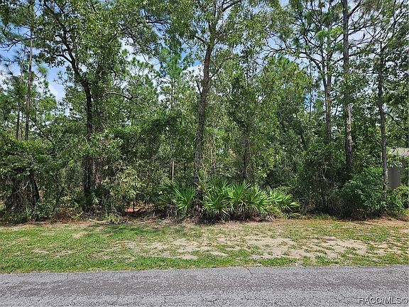 3rd image of 17 Speceberry Cir