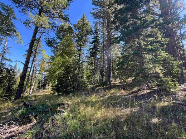 LOT 40 W Woodland Springs Rd, Lead, SD 57754