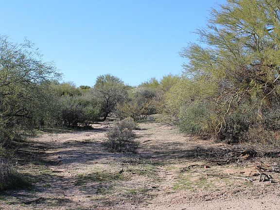View from East
