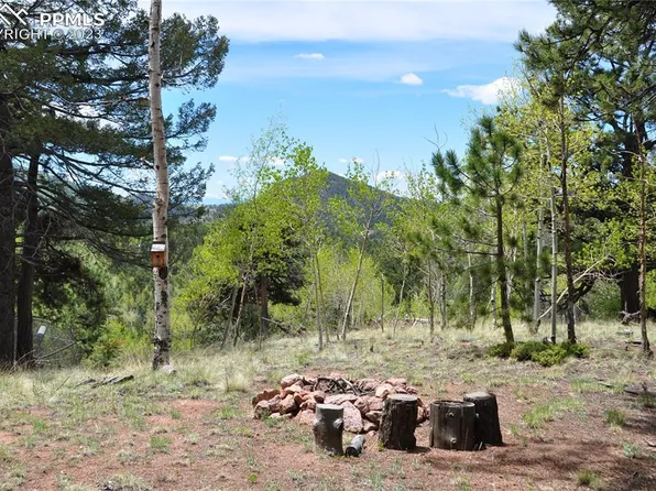 49 Princess Ln, Cripple Creek, CO 80813