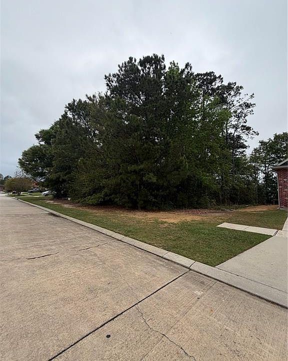 2nd image of Spartan Loop