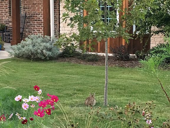Extensive landscaping