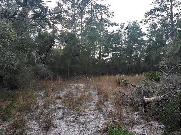 5th image of 2614 Alice Dr