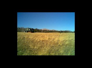 Bluestem Way, Fairplay, CO 80440