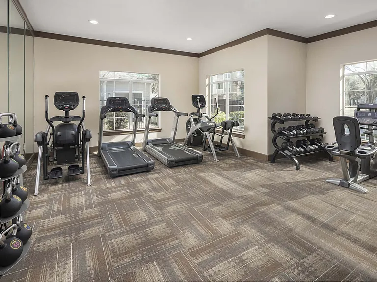 Camden Downs At Cinco Ranch — Photo 23