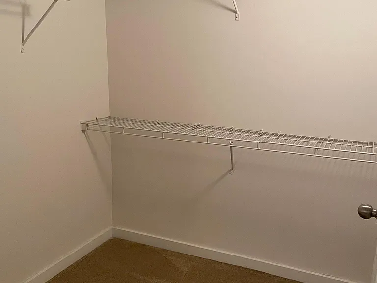 Walk-in closet (no longer has carpet, all new LVP)