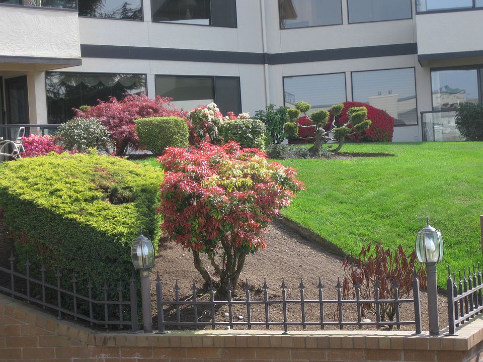 Taken from Driveway on 5th 