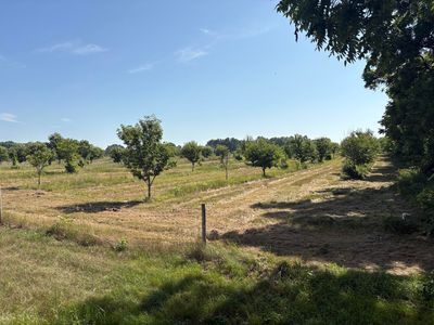 Leach Rd, Dowagiac, MI, 49047