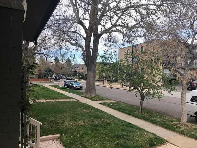 Street view looking North