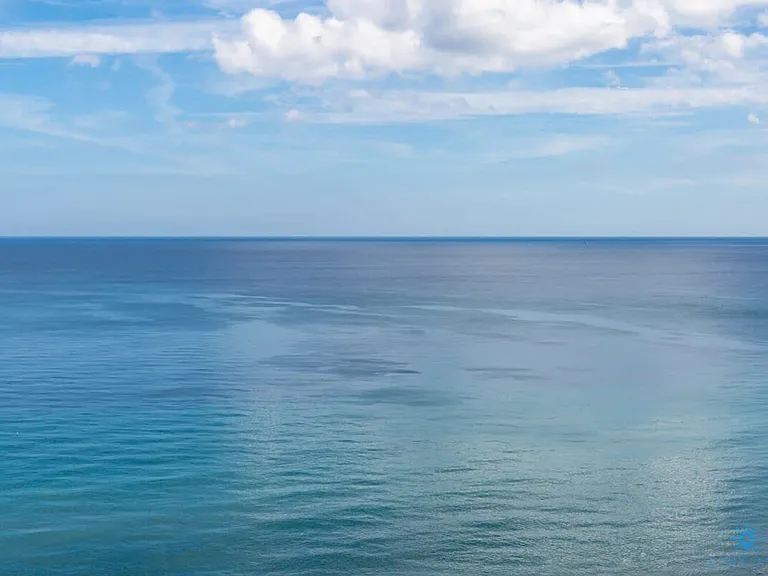 Window View