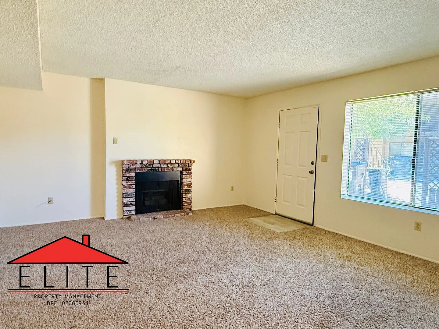 1021PE — Photo 4
