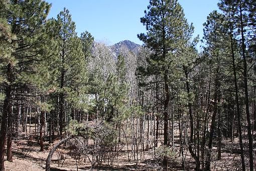 2nd image of TR. 7 Unit 1 Brazos Lodge Est #30 Serenity Dr