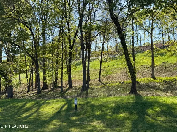 1031 Black Cove Ln, Loudon, TN 37774