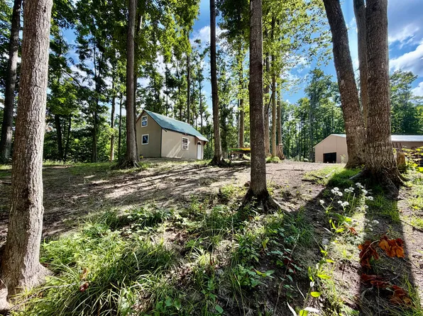 N Watkins Dr, Frederic, MI 49733