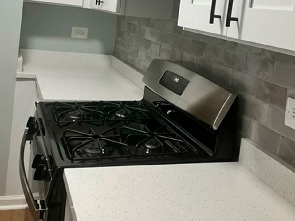 1st image of 1253 W Henderson St APT 1