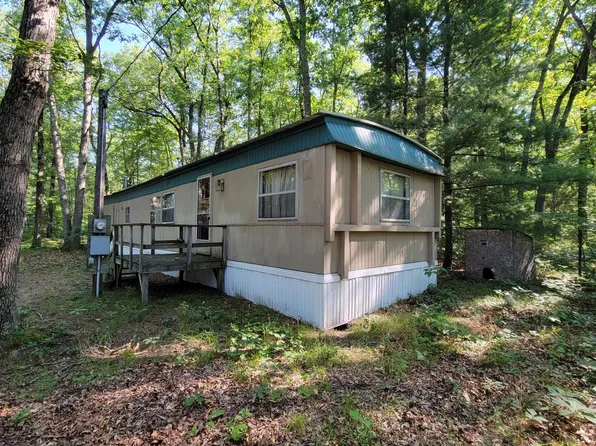 17302 6th St, Wellston, MI 49689