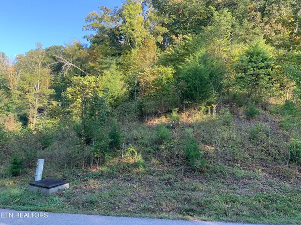 0 Russell Brothers Rd Lot 732, Sharps Chapel, TN 37866
