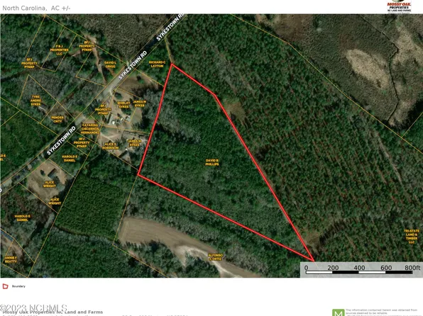 Tbd Sykestown Road, Currie, NC 28435
