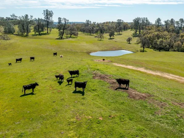 13012 State Highway 124, Ione, CA 95640