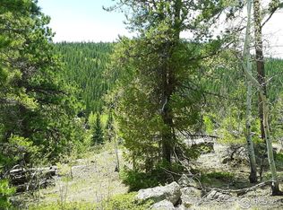 7990 Overland Rd, Ward, CO 80481