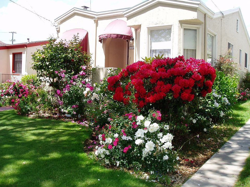 Front yard in Spring