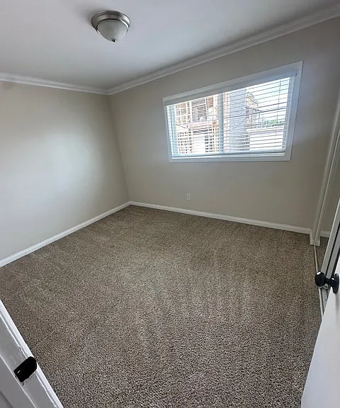 4664 Hamilton St #4664.5 — Photo 15