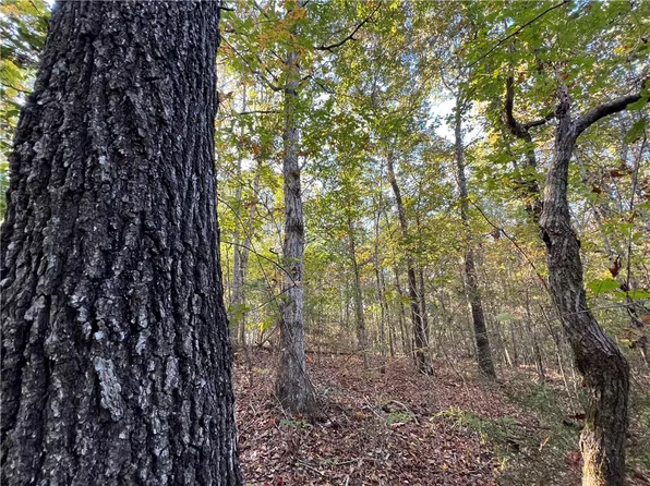 5000 Jackson Rd, Camp Hill, AL 36850