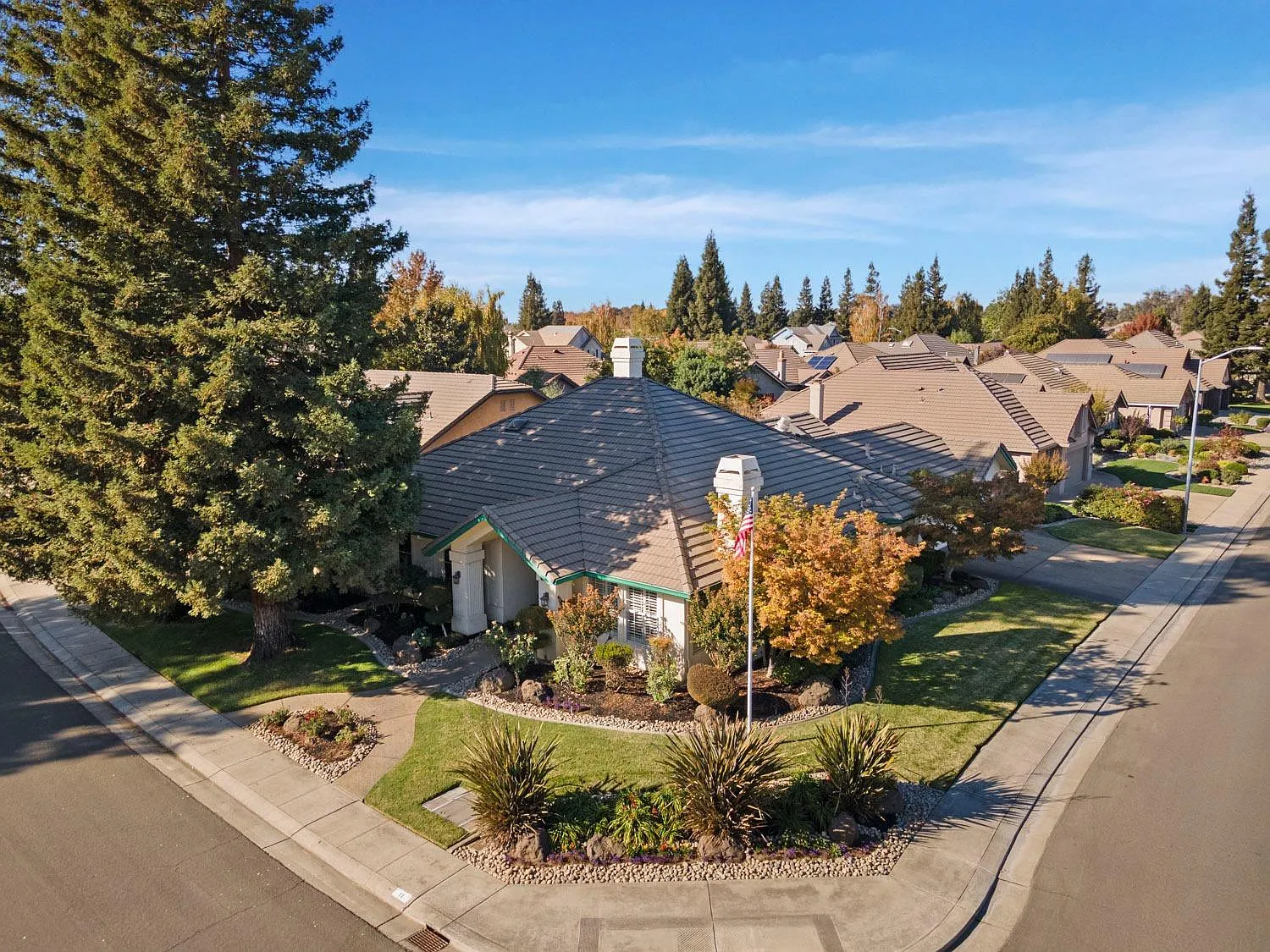 11 Ramblewood Way photo 1