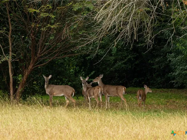 Horseshoe Bnd, Eddy, TX 76524