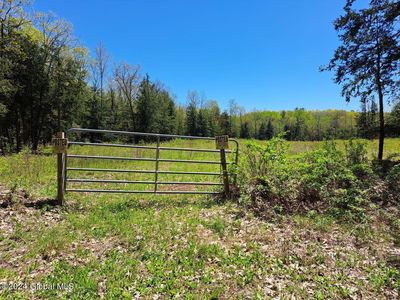 L 3.11 Longwoods Road, Buskirk, NY, 12028