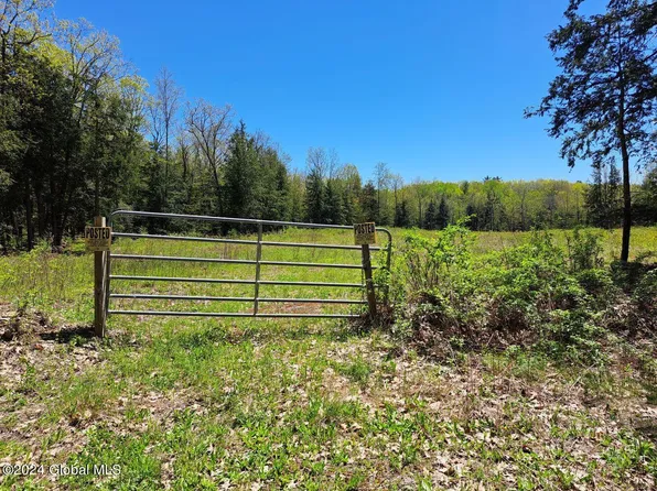 L 3.11 Longwoods Road, Buskirk, NY 12028