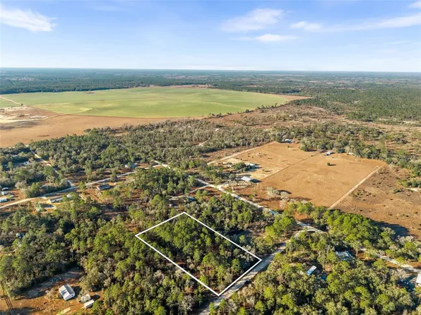 0 NE 121st Ave Lot 1, Williston, FL 32696