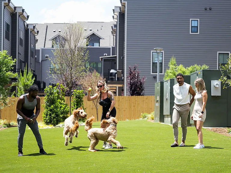 Ello House — Photo 28