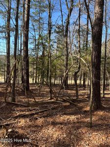 Lot 84 Appaloosa Lake Drive, Carthage, NC, 28327
