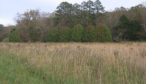 3rd image of 10481 Scottsboro Hwy