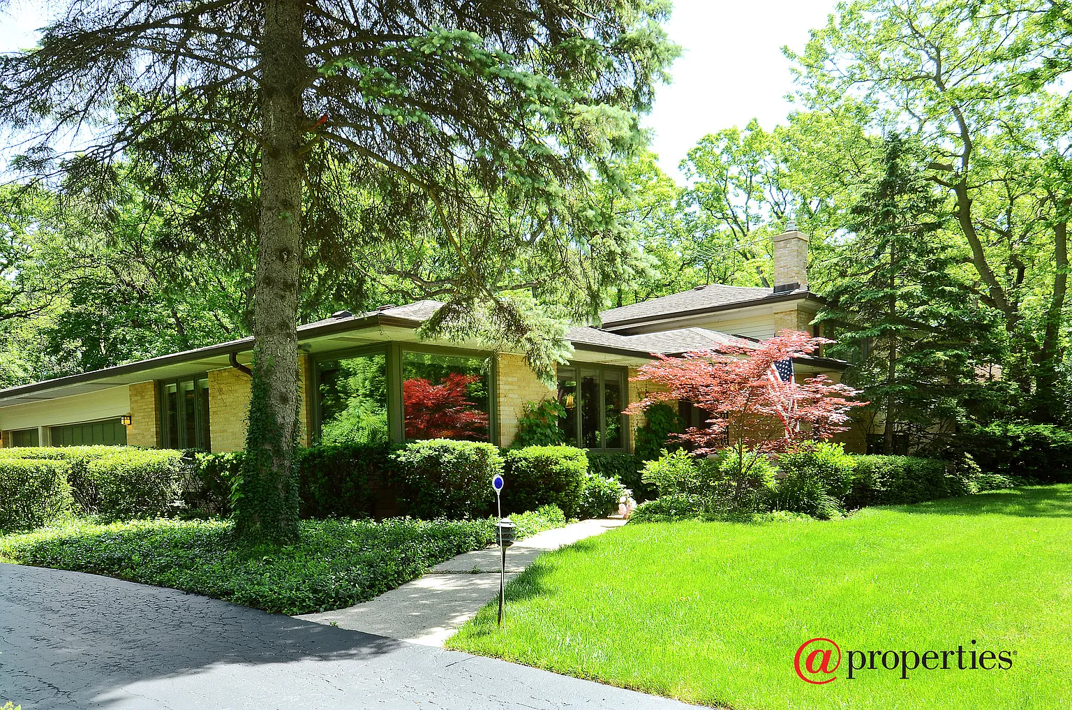 529 Beverly Pl photo 1