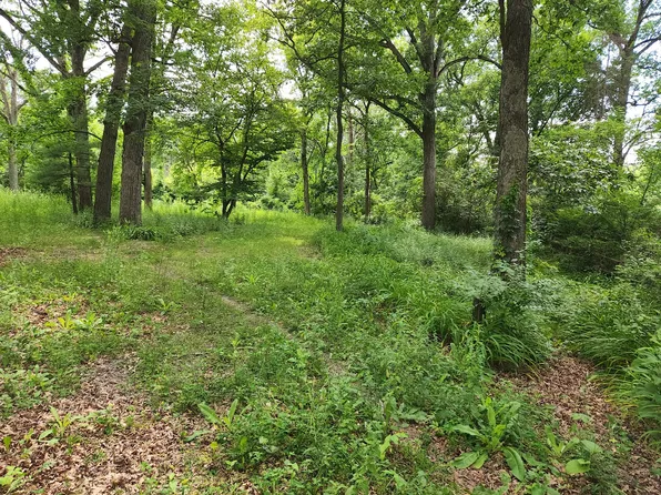 12516 S 91st Ave Lot 2, Palos Park, IL 60464