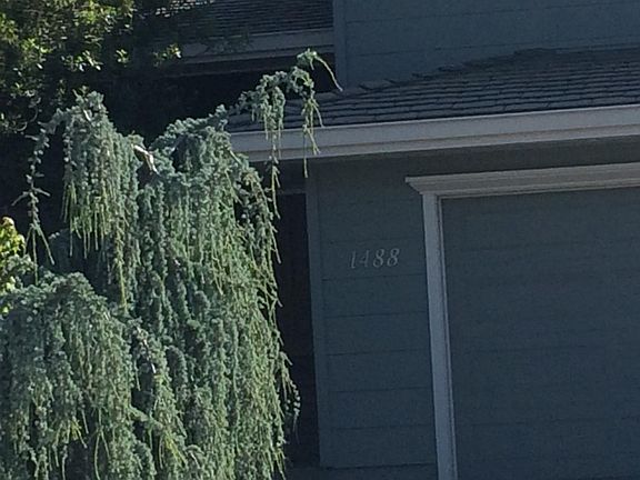 2nd image of 1488 De Palma Dr