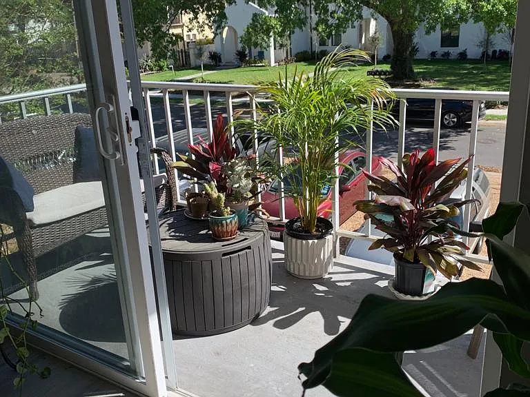 4611 W Fig St #204 — Photo 12