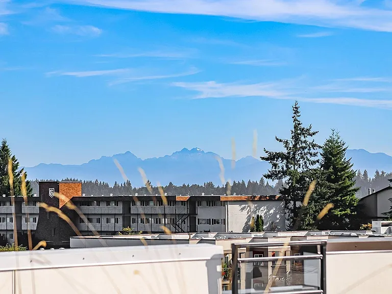 Rainier and Cascade Views