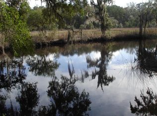 5930 Dungannon Plantation Way, Adams Run, SC 29470